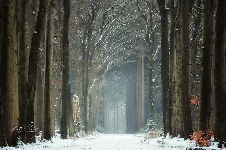 Winer Alley by Martin Podt wall art