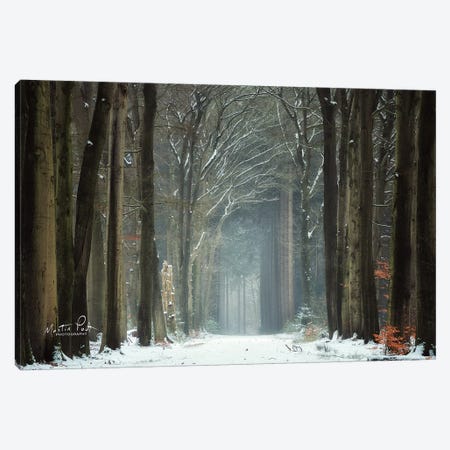 Winer Alley Canvas Print #MPO86} by Martin Podt Canvas Print