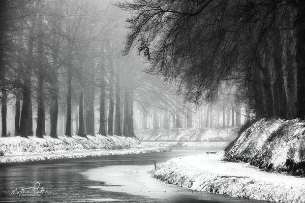 Black & White Florals: Winter River by Martin Podt