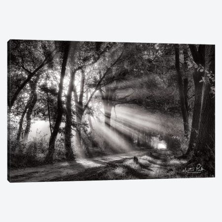 Black and White Rays Canvas Print #MPO8} by Martin Podt Canvas Print