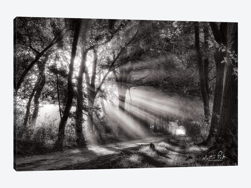 Black and White Rays 1-piece Canvas Art