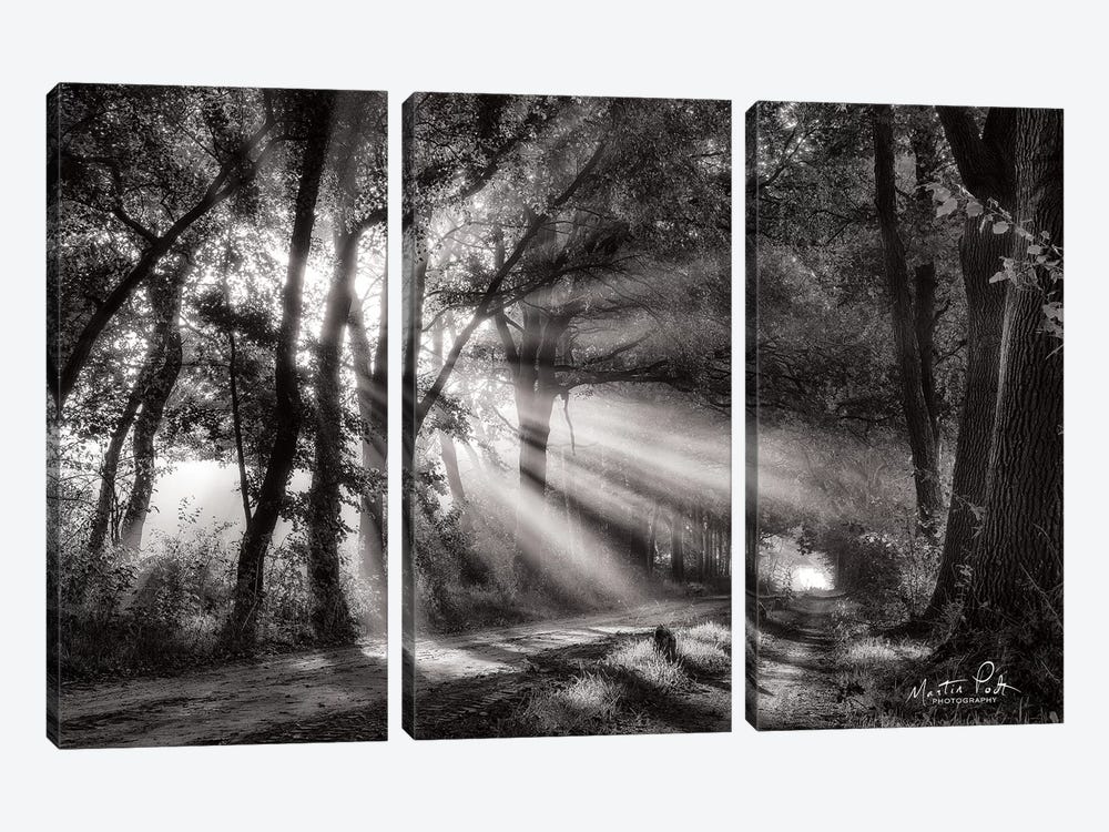 Black and White Rays by Martin Podt 3-piece Canvas Wall Art