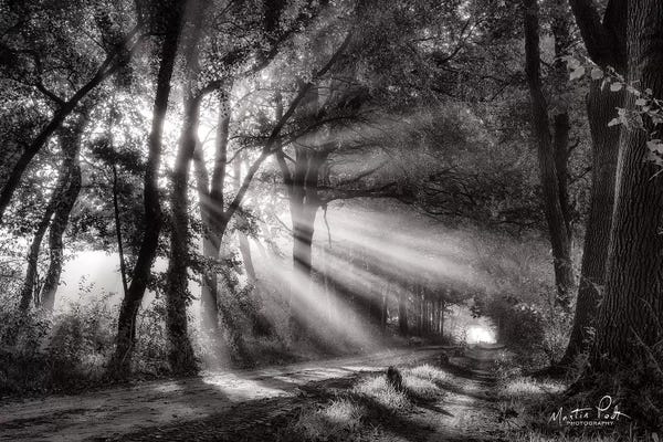 Martin Podt: Black and White Rays by Martin Podt