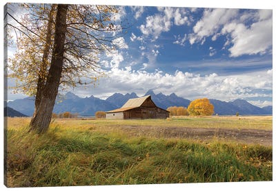 T.A. Moulton Barn, Mormon Row, Grand Teton National Park, Wyoming, USA Canvas Art Print - Field, Grassland & Meadow Art