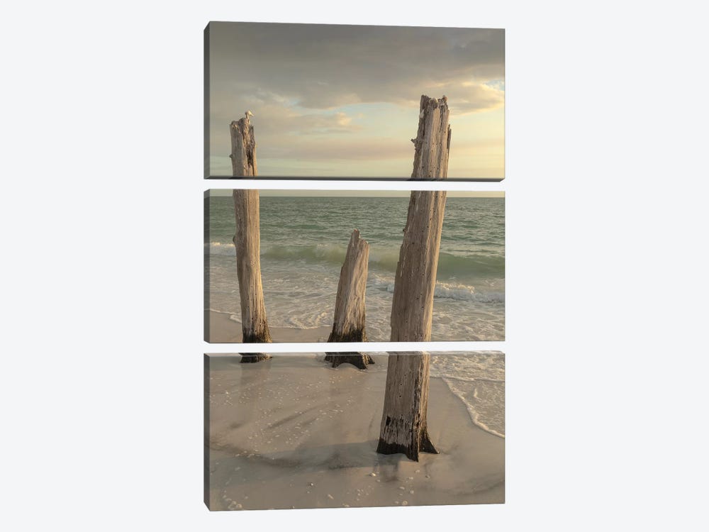 Lovers Key State Park, Florida by Maresa Pryor 3-piece Canvas Wall Art