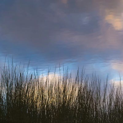 Reflections, Merritt Island National Wildlife Refuge, Titusville, Florida, USA by Maresa Pryor framed canvas print
