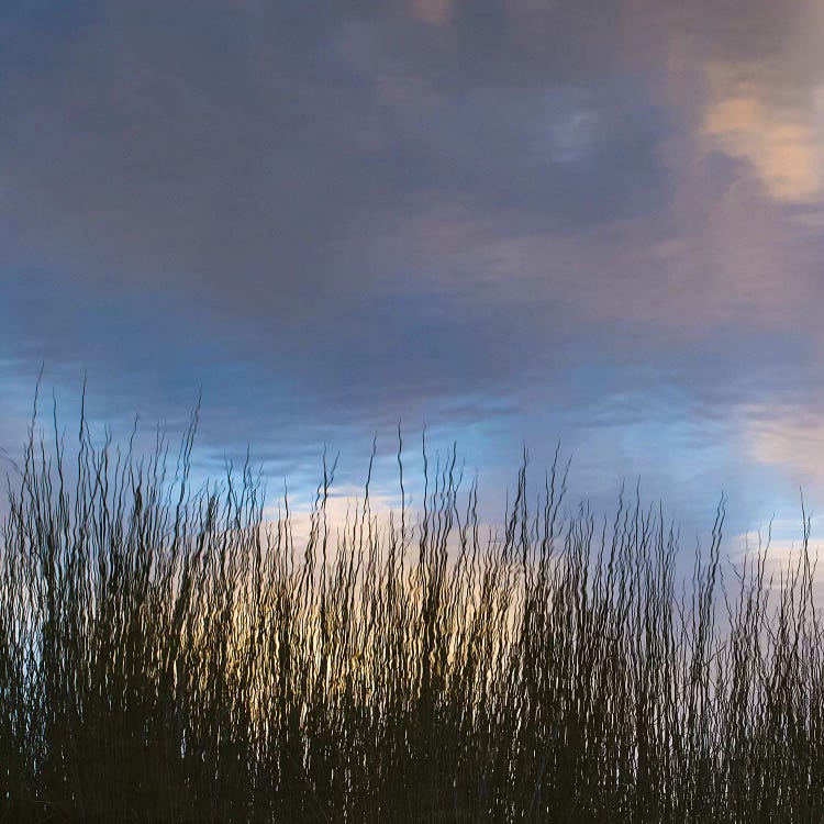 Reflections, Merritt Island National Wildlife Refuge, Titusville, Florida, USA