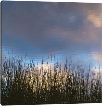 Reflections, Merritt Island National Wildlife Refuge, Titusville, Florida, USA Canvas Art Print