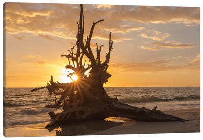 Sunset at Lovers Key State Park, Florida Canvas Art Print