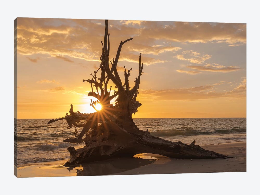 Sunset at Lovers Key State Park, Florida by Maresa Pryor 1-piece Canvas Art