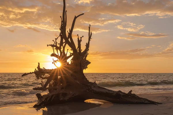 Maresa Pryor: Sunset at Lovers Key State Park, Florida by Maresa Pryor
