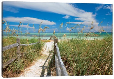 Beachscape With Sea Oats, Bahia Honda State Park, Florida Keys, Florida, USA  Canvas Art Print - Sandy Beach Art