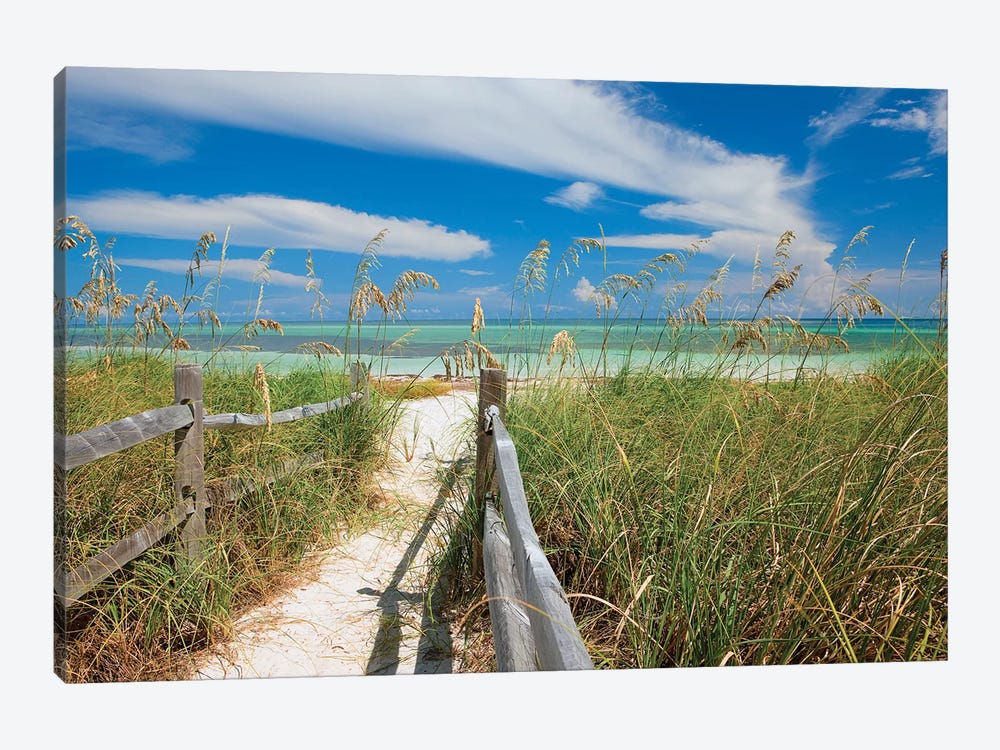 Beachscape With Sea Oats, Bahia Honda State Park, Florida Keys, Florida, USA  by Maresa Pryor 1-piece Canvas Artwork