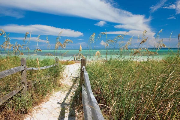Beachscape With Sea Oats, Bahia Honda State Park, Florida Keys, Florida, USA 