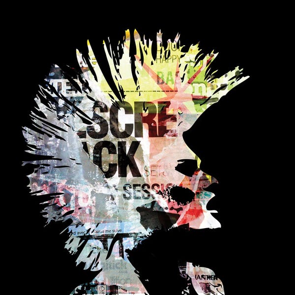 Rock 'n' Roll: 81 Punk by Morgan Paslier