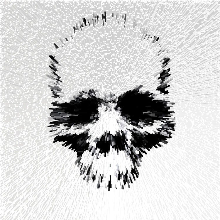 Skull - White