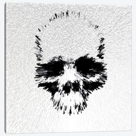 Skull - White Canvas Print #MPS18} by Morgan Paslier Canvas Print