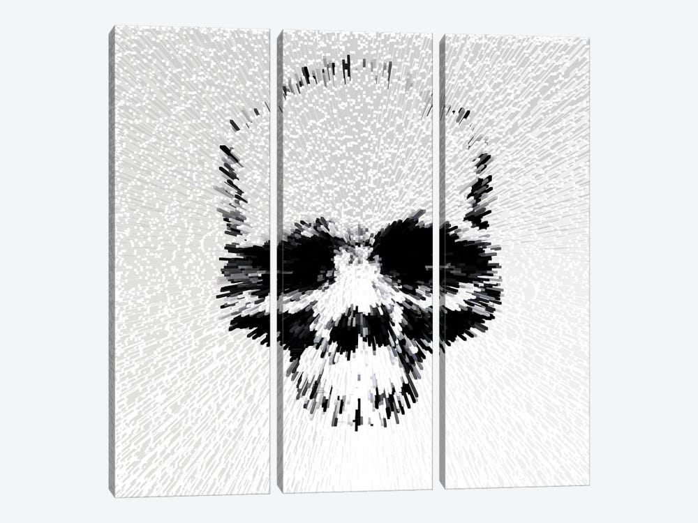 Skull - White by Morgan Paslier 3-piece Canvas Art Print