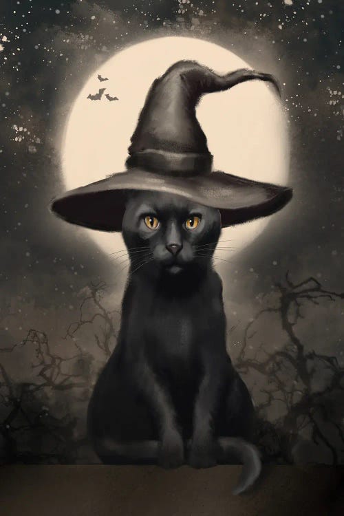 Halloween-Black Cat Witch Hat