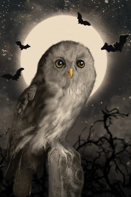 Halloween-Owl and Moon