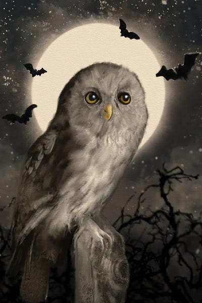 Halloween-Owl and Moon