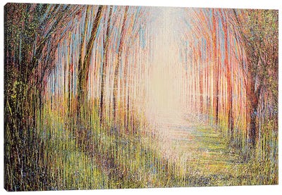 The Light Ahead Canvas Art Print - Marc Todd