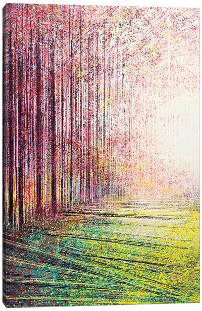 Tree Blossom In Bright Light Canvas Art Print