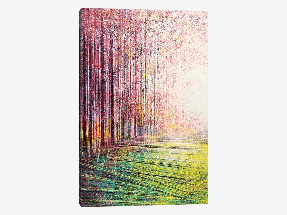 Tree Blossom In Bright Light by Marc Todd 1-piece Canvas Artwork