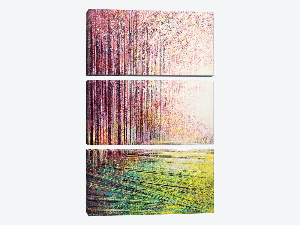 Tree Blossom In Bright Light by Marc Todd 3-piece Canvas Wall Art