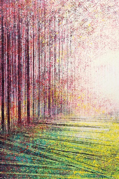 Tree Blossom In Bright Light