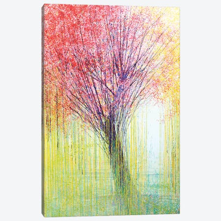 Tree In Spring Light Canvas Print #MRC17} by Marc Todd Canvas Art Print