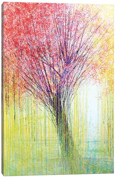 Tree In Spring Light Canvas Art Print