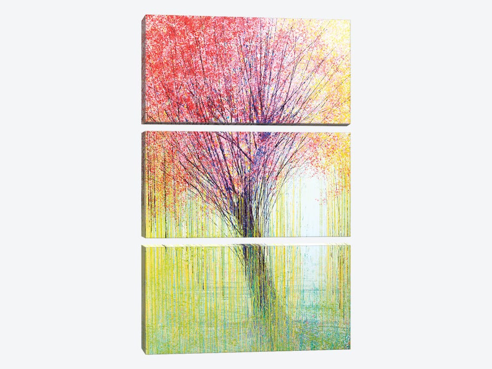 Tree In Spring Light 3-piece Canvas Art Print