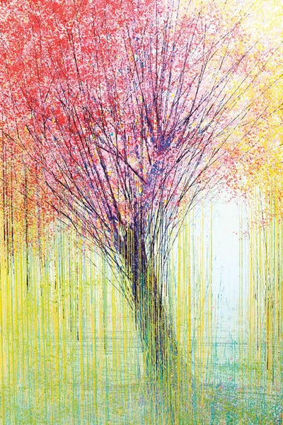 Marc Todd: Tree In Spring Light by Marc Todd