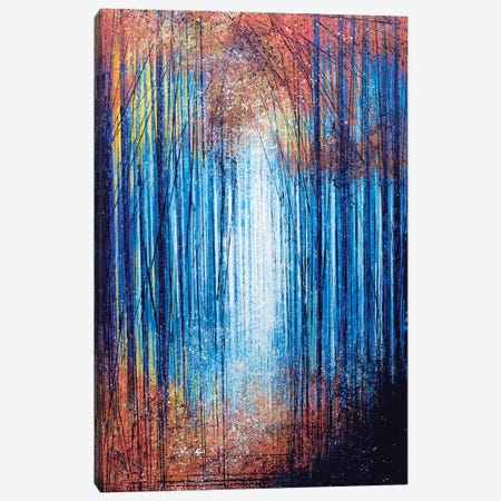 Vivid Light Through Trees Canvas Print #MRC18} by Marc Todd Canvas Art