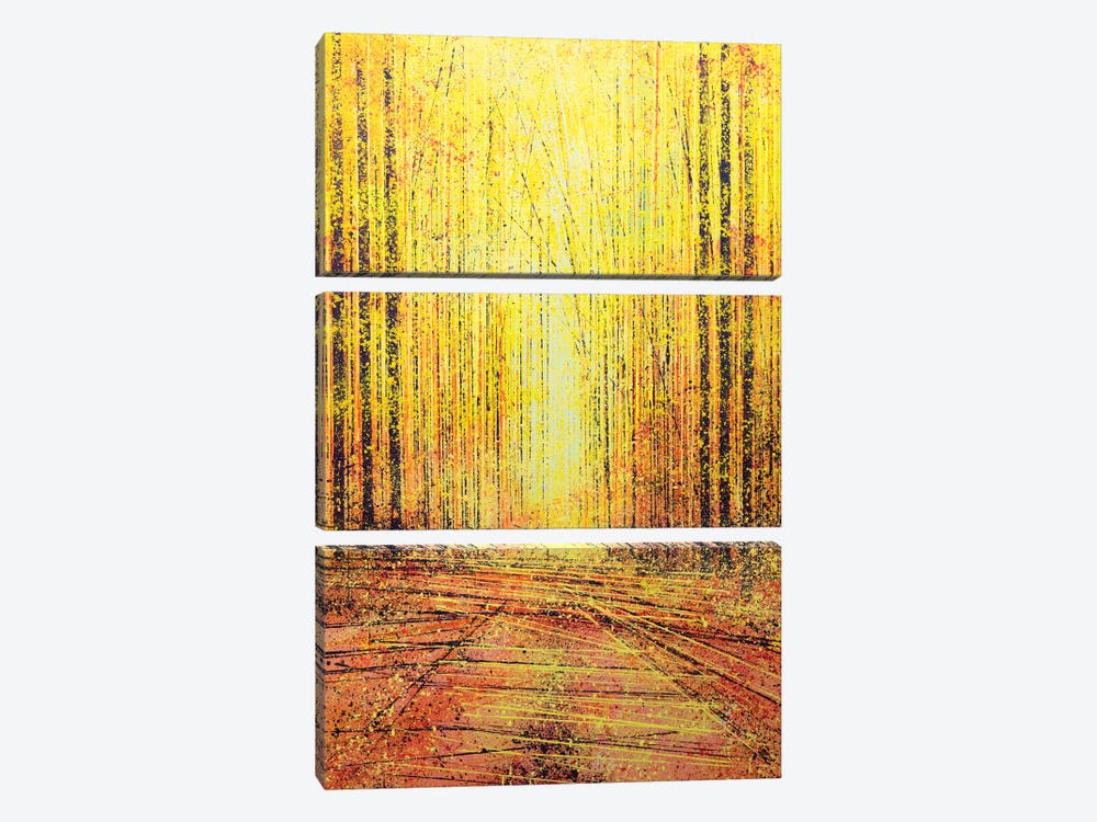 Vivid Yellow Light by Marc Todd 3-piece Canvas Art Print