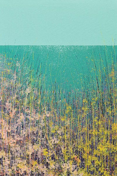 Wild Flower Meadow by Marc Todd framed wall art