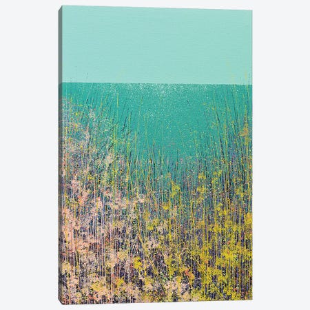 Wild Flower Meadow Canvas Print #MRC20} by Marc Todd Art Print