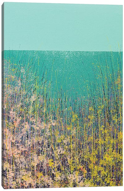 Wild Flower Meadow Canvas Art Print - Marc Todd