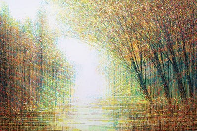 Autumn Woodland by Marc Todd framed wall art