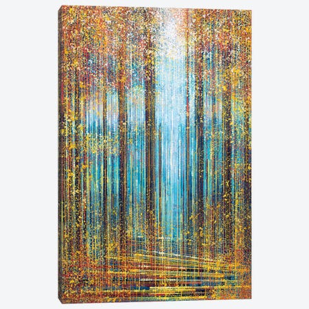 Autumn Trees In Sparkling Light Canvas Print #MRC51} by Marc Todd Canvas Artwork