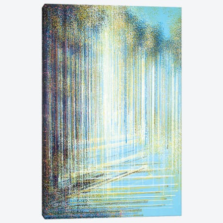 Bright Woodland Light Canvas Print #MRC52} by Marc Todd Canvas Art