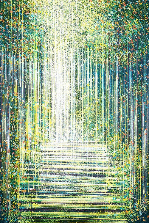 Magic Light In The Night Forest