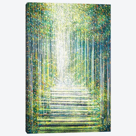 Magic Light In The Night Forest Canvas Print #MRC54} by Marc Todd Art Print