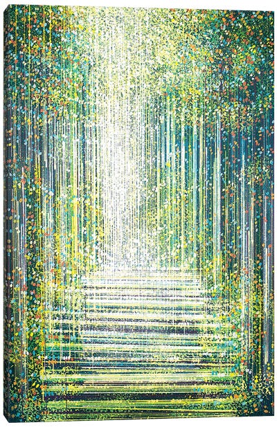 Magic Light In The Night Forest Canvas Art Print - Marc Todd