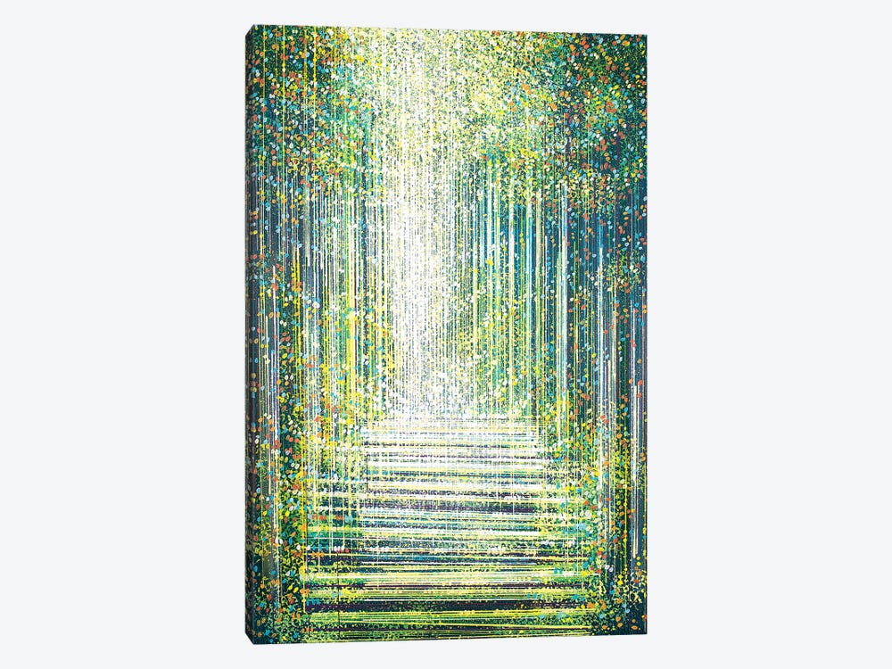 Magic Light In The Night Forest by Marc Todd 1-piece Canvas Artwork
