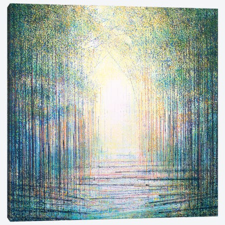 Sparkling Woodland Light Canvas Print #MRC55} by Marc Todd Canvas Print