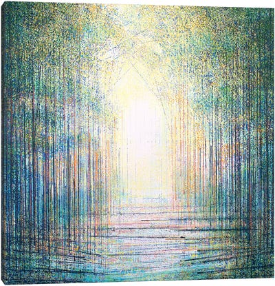 Sparkling Woodland Light Canvas Art Print - Enchanted Forests