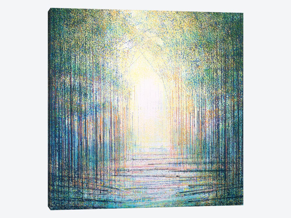 Sparkling Woodland Light by Marc Todd 1-piece Canvas Art Print