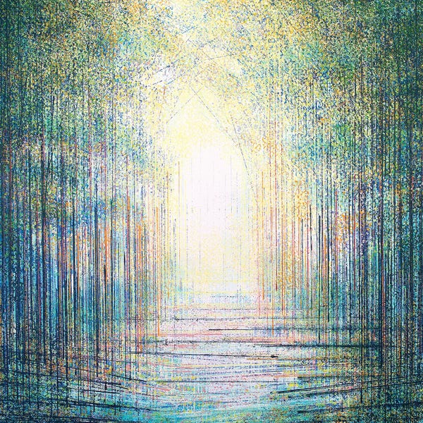 Marc Todd: Sparkling Woodland Light by Marc Todd